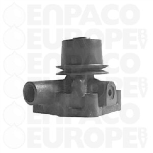 Bomba de agua David Brown