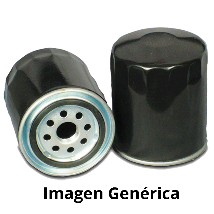 Filtro Ford Original