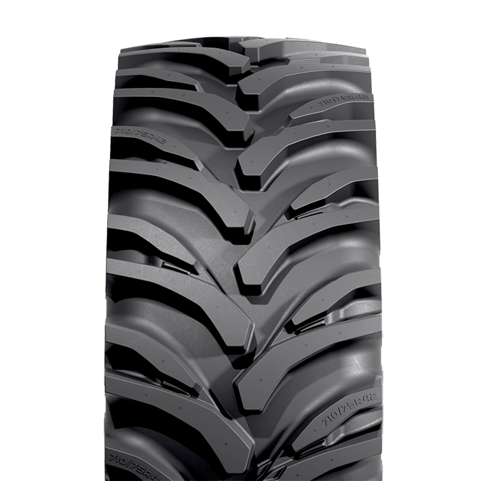 650/65R42  170D Trac King SB TL Desmontada