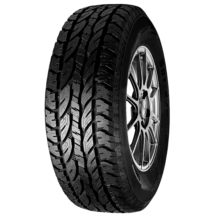265/65R17 112T OWL NS501