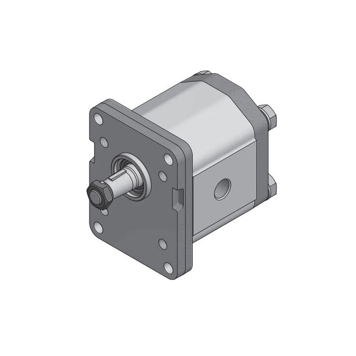 Bomba de Engranajes 10L/Min Giro DCH. M6x10