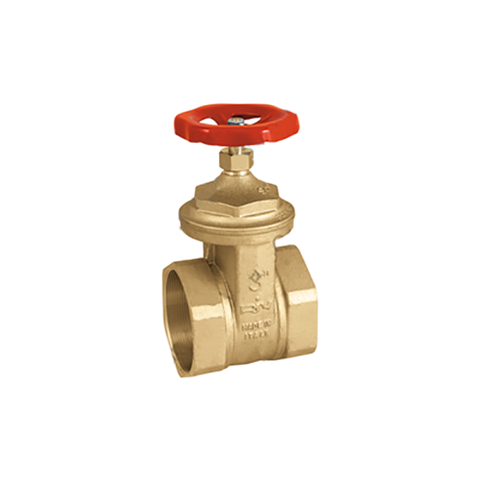 Válvula de compuerta 2"