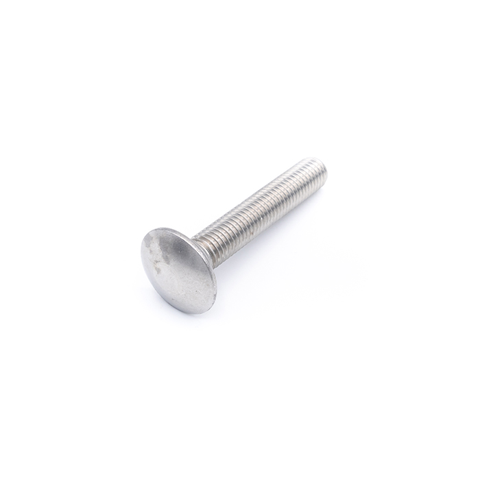 Tornillo CU/Cuadrado INOX A2 10x25 DIN603