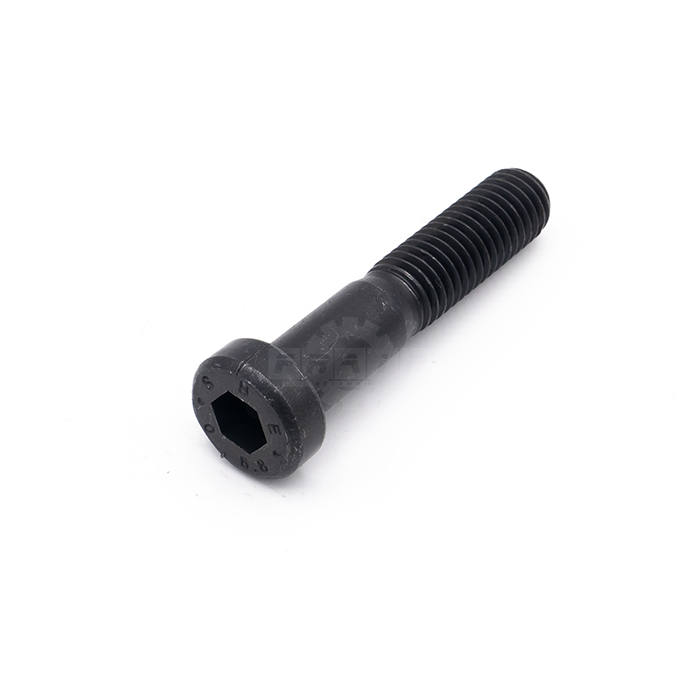 Tornillo Allen C/Baja 8.8 20x45 DIN7984