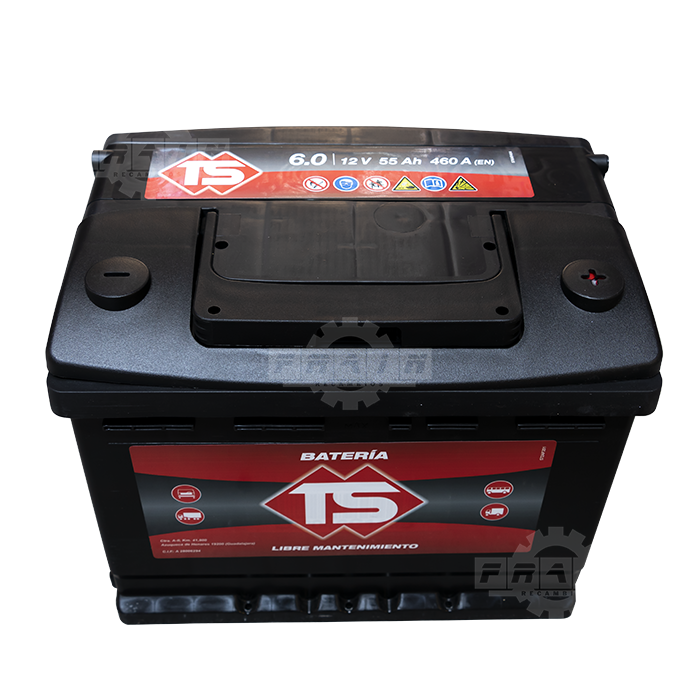 Batería TS 55Ah 460EN 242x175x190
