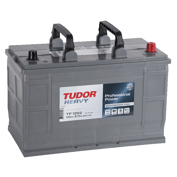 Batería Professional Power 120Ah 870EN 349x175x235