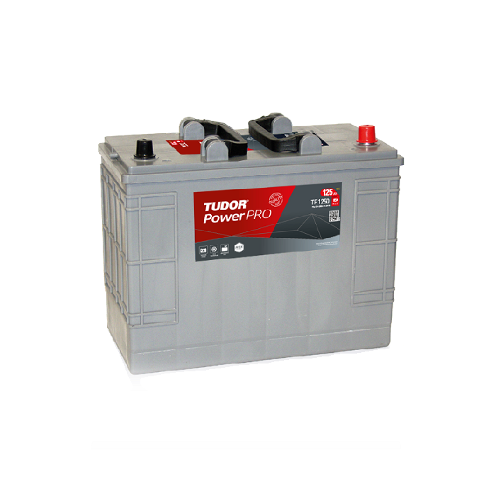 Batería Professional Power 125Ah 850EN 349x175x285