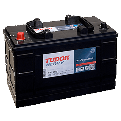 Batería Professional 110Ah 750EN 349x175x235