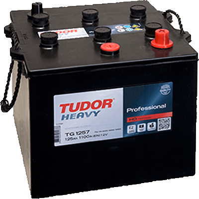 Batería Professional 125Ah 1100EN 286x269x230